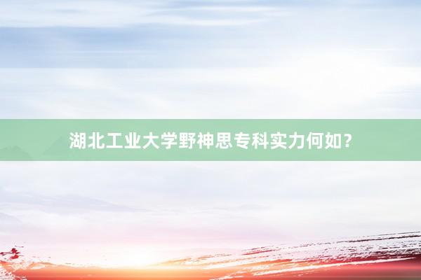 湖北工业大学野神思专科实力何如？